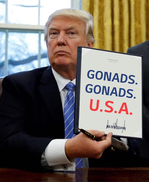 The Gonads Website